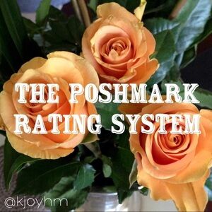 Understanding the Rating System